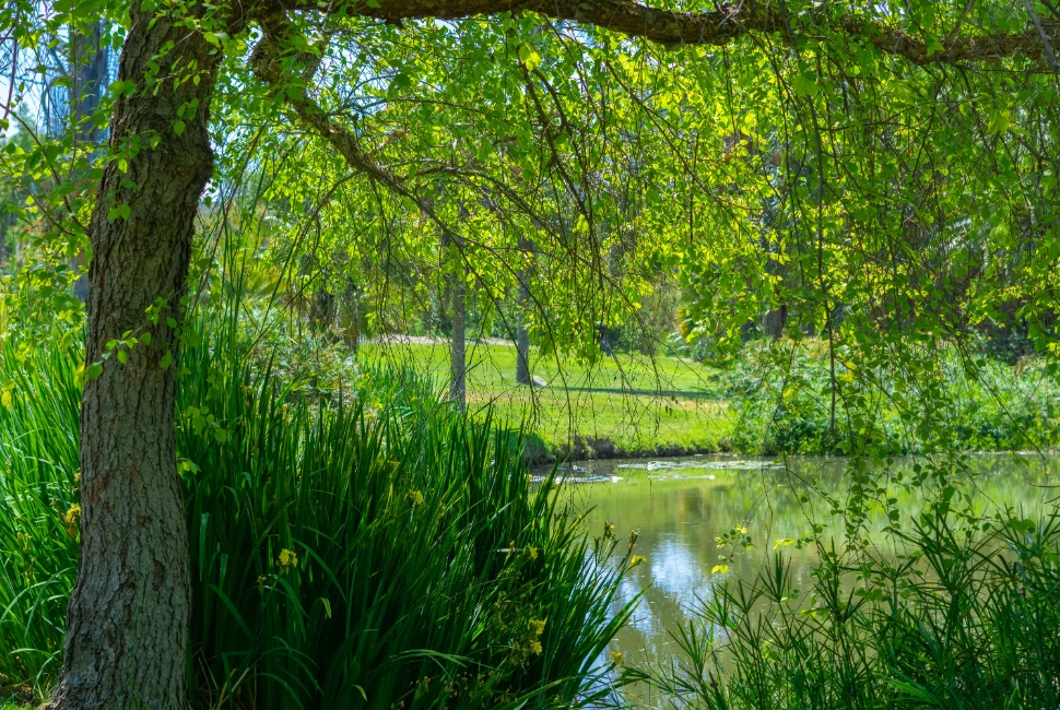 Attractions and Activities: Exploring the Best of Fullerton, CA