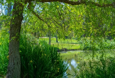 Attractions and Activities: Exploring the Best of Fullerton, CA